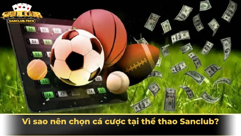 Vì sao nên chọn cá cược tại thể thao Sanclub?