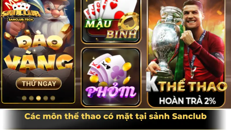 Các môn thể thao có mặt tại sảnh Sanclub